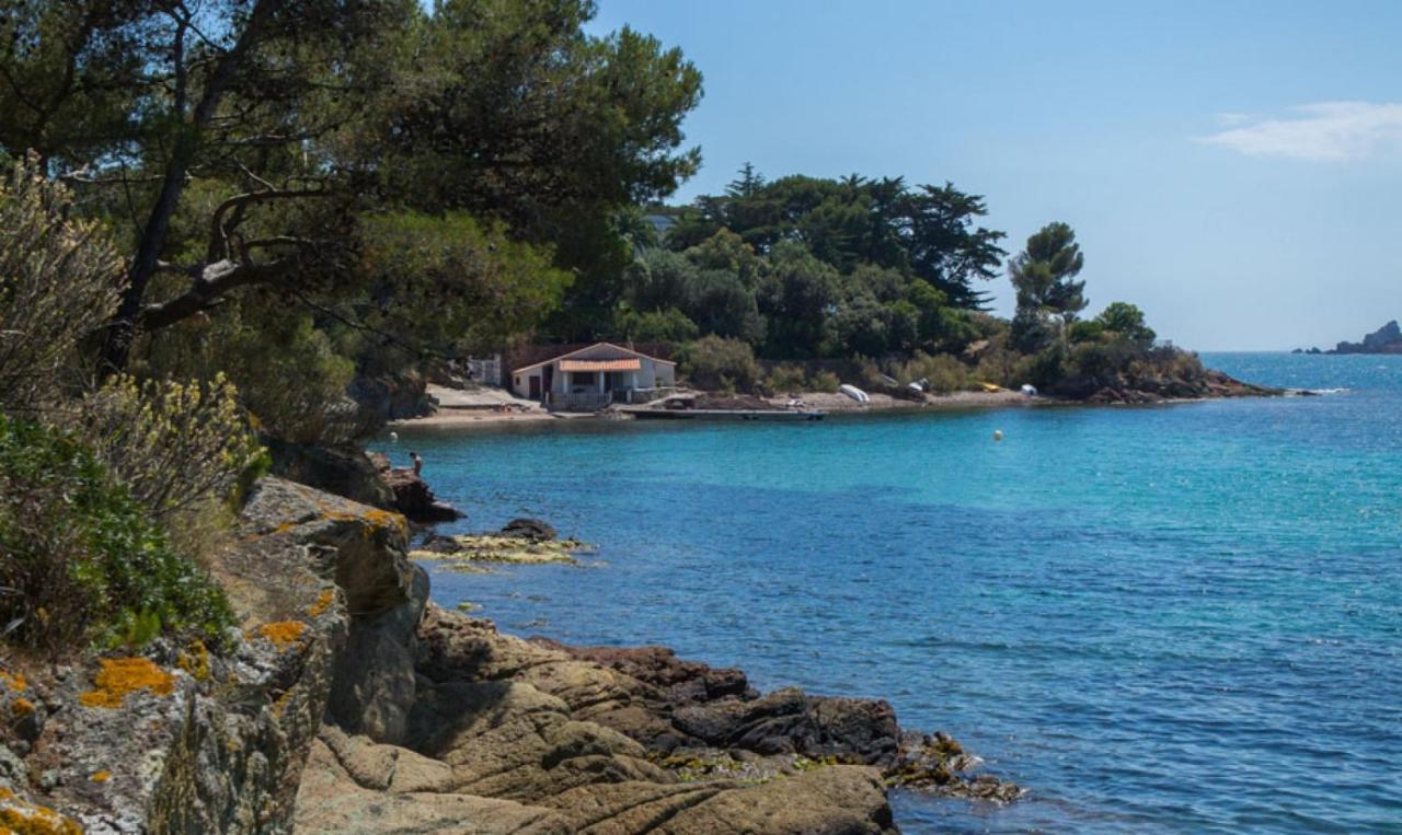 Agay Le Pti Bonheur 60M2 Rez De Jardin, En Bord De Mer Saint-Raphaël Exteriör bild